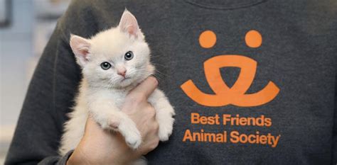 Best friends animal - About Best Friends. Best Friends Animal Society is working to save the lives of cats and dogs all across the country, giving pets second chances and happy homes. As recently as 2016, nearly 1.5 million cats and dogs were killed in America just because shelters didn't have the community support or the resources needed to save them. 